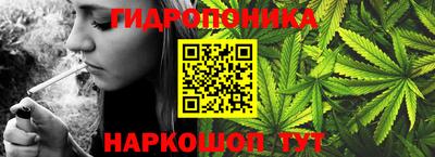 гидра Новодвинск