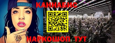 гидра Новодвинск