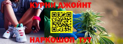 гидра Новодвинск