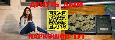 гидра Новодвинск